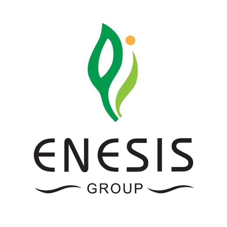 logo enesis group